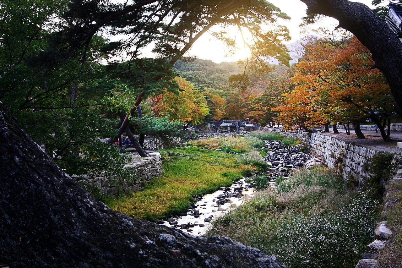 Travel apps for getting around Korea