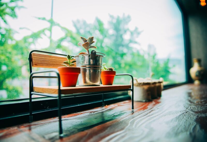 Cafe Culture in Korea