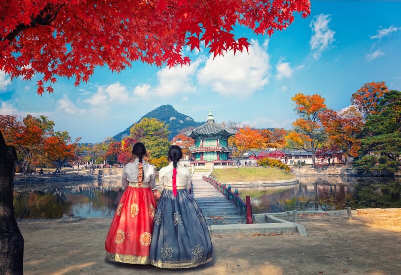 Drinking Culture for Visitors in Korea