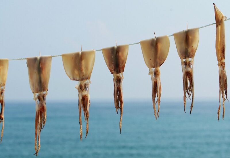 Food Safety and Stomach Comfort in Korea