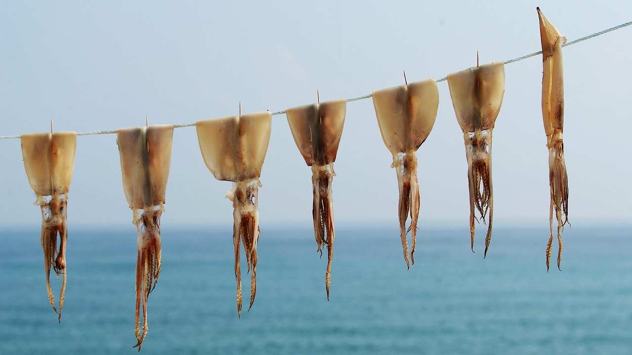 Food Safety and Stomach Comfort in Korea