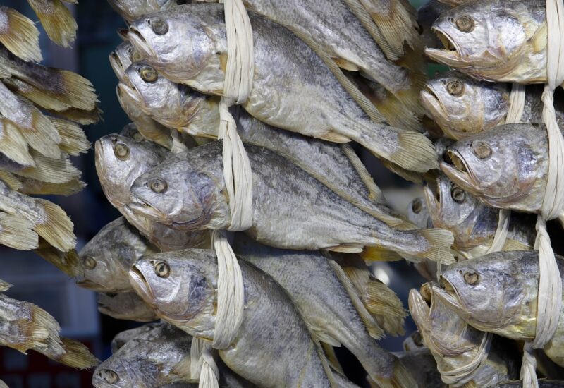 Jagalchi Market, Busan's largest seafood market
