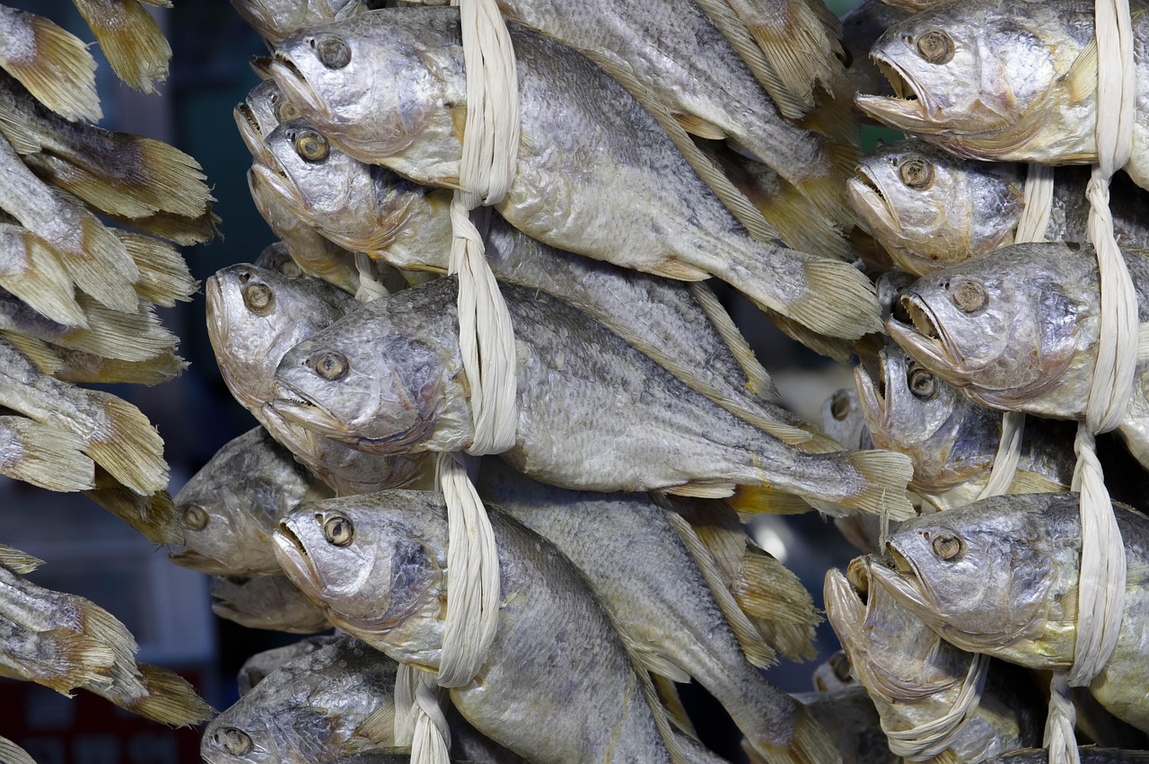Jagalchi Market, Busan's largest seafood market