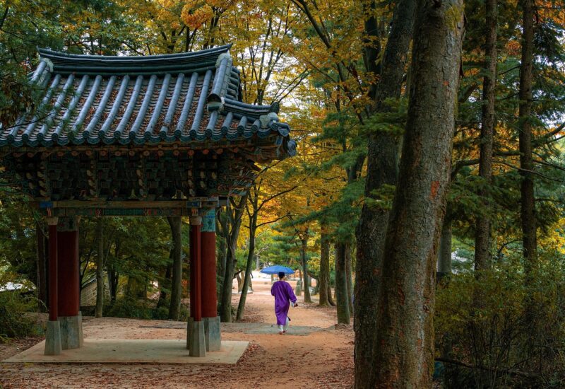 Jeonju for Food and Hanok