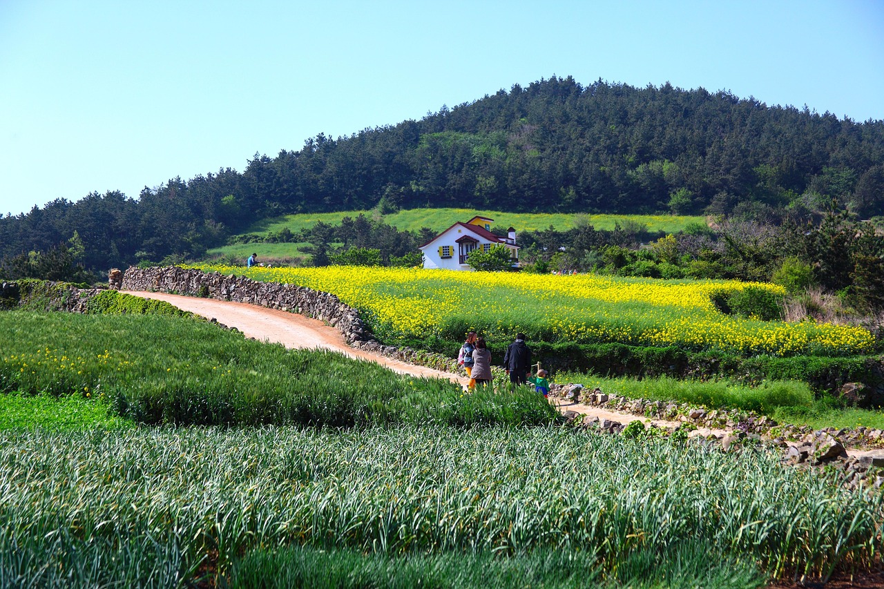 K-Drama Filming Locations in Korea: Where to Visit in 2026