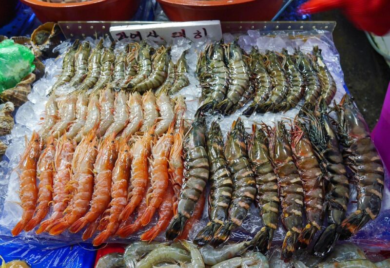 Seafood Markets in Korea for Beginners