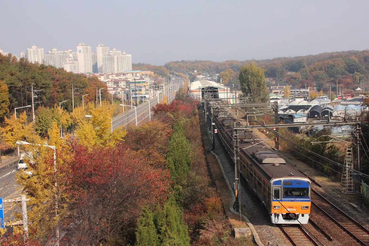 Subway Transfers Without Stress in Seoul