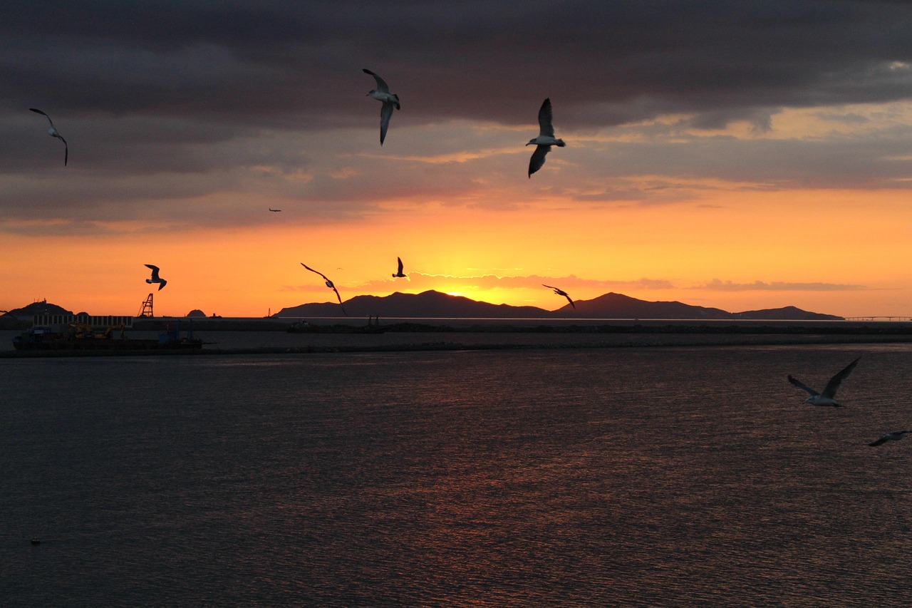 Incheon Cruise Port Guide: Getting to Seoul and What to Do in One Day (2026)