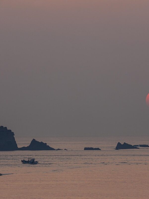 Jeju Cruise Port Guide: Which Terminal, How to Get Around and a One-Day Plan (2026)